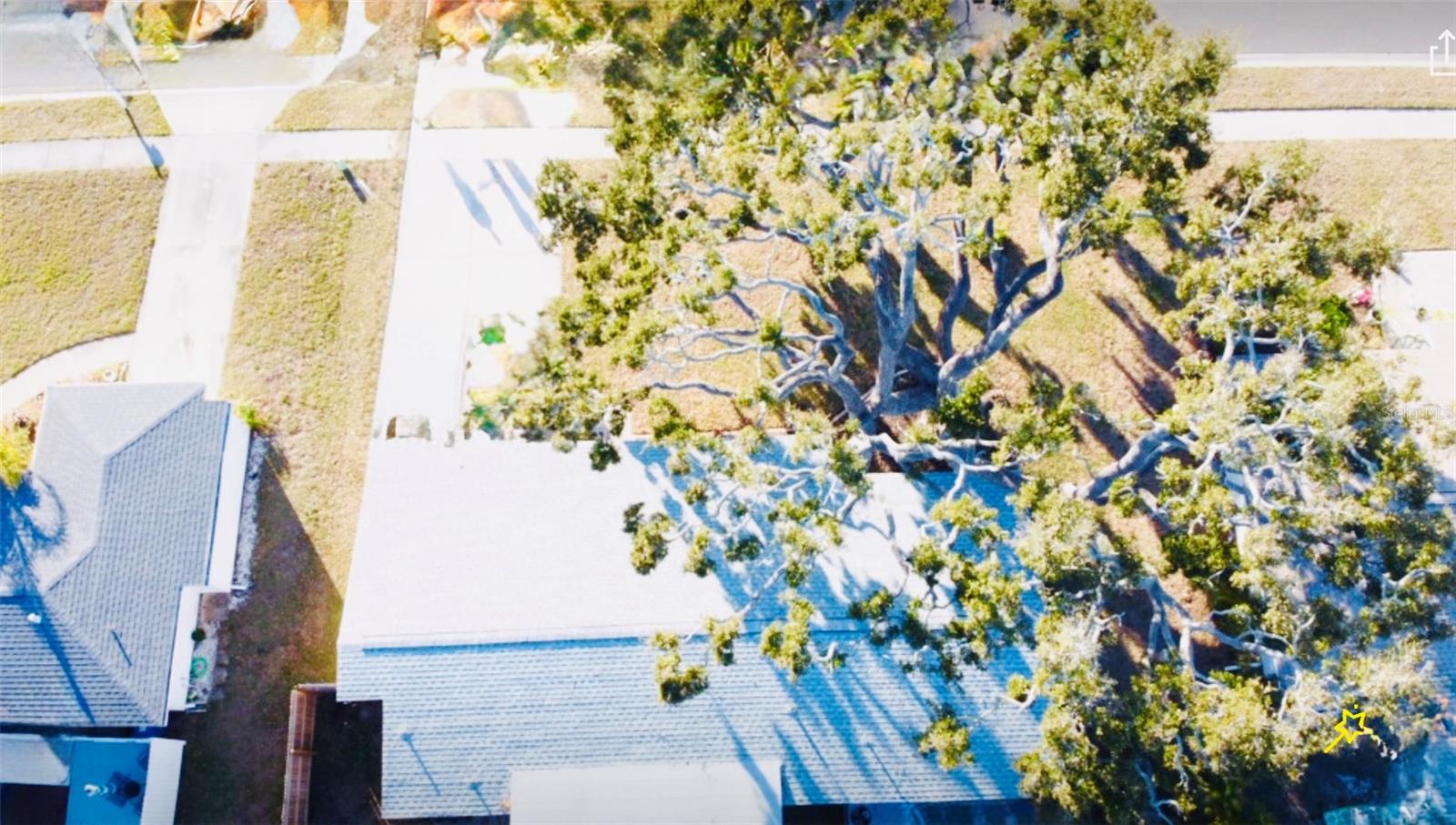 GULF GATE - Residential