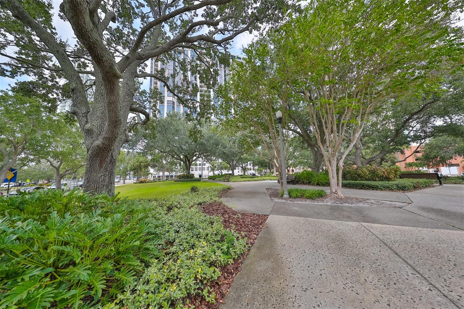 1 BEACH DRIVE SE 811