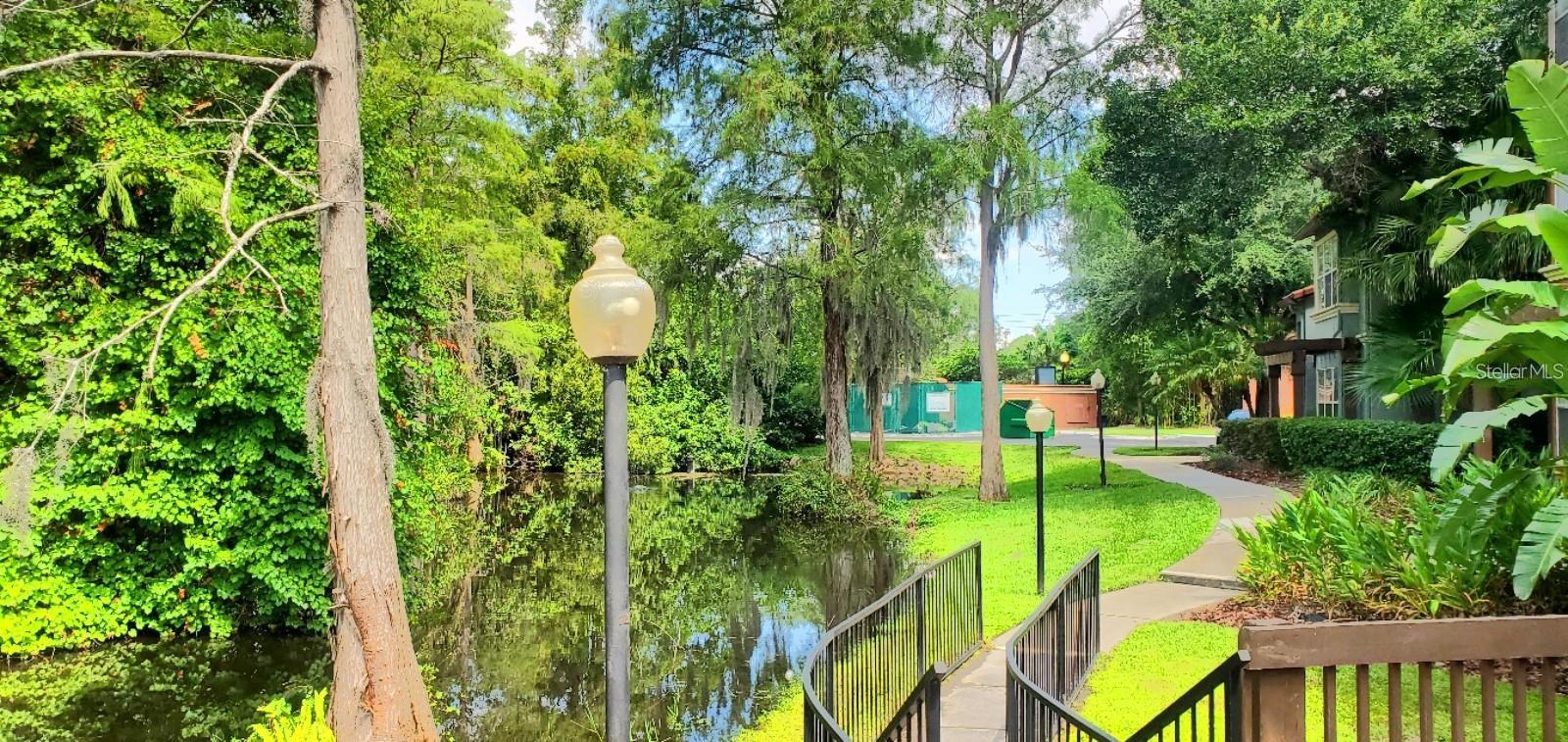 RESIDENCES/MILLENIA - Residential