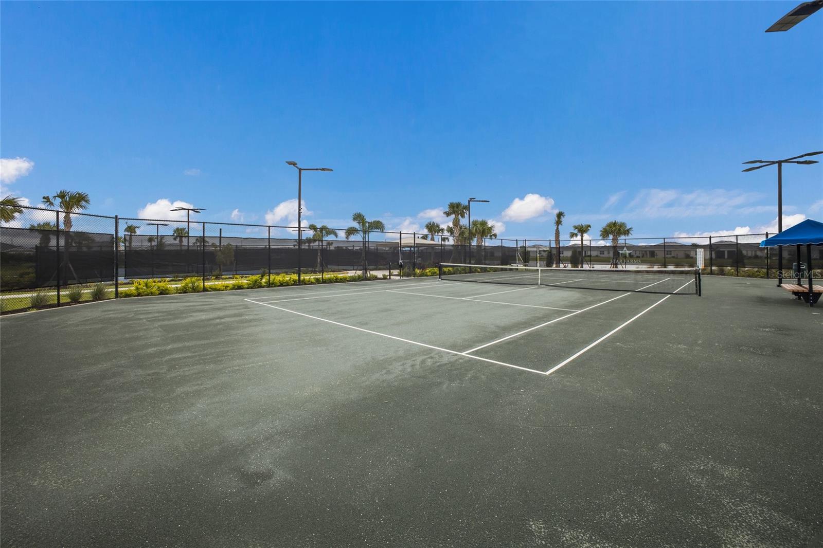 STAR FARMS AT LAKEWOOD RANCH - Residential