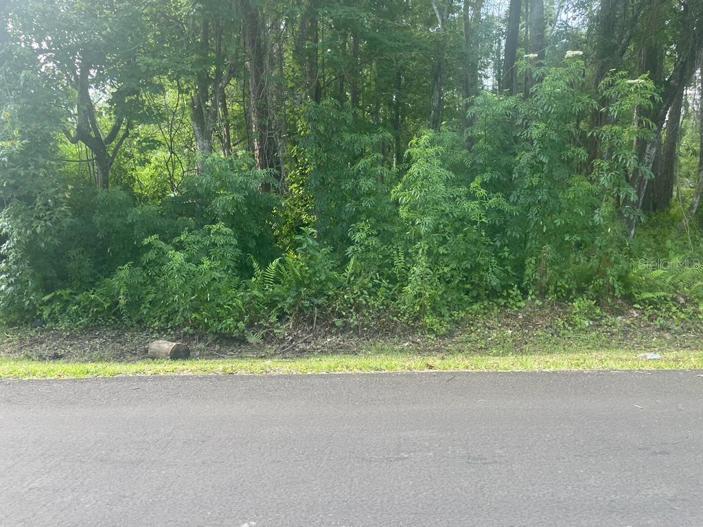 Vacant lot for sale. This listing is being sold together with the adjacent lot 5086 Hibiscus Rd. MLS O6158577. Each lot is listed for $130K.