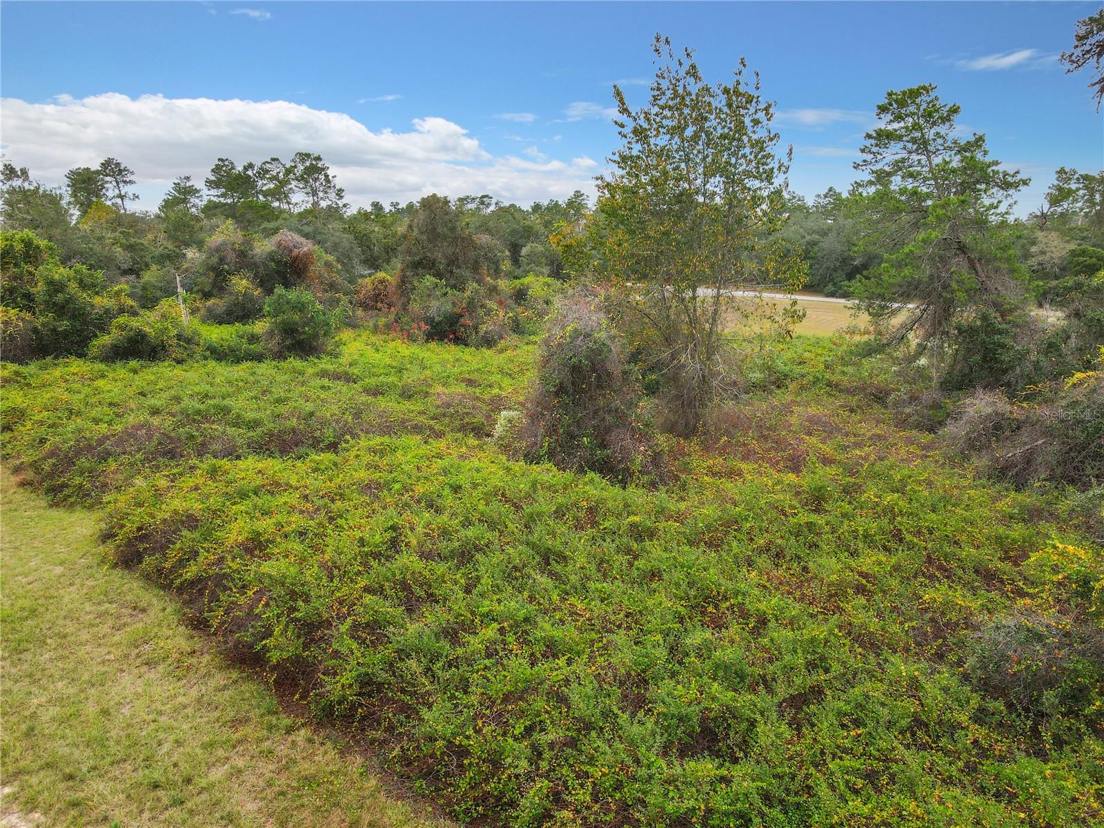 MARION OAKS UN 06 - Land