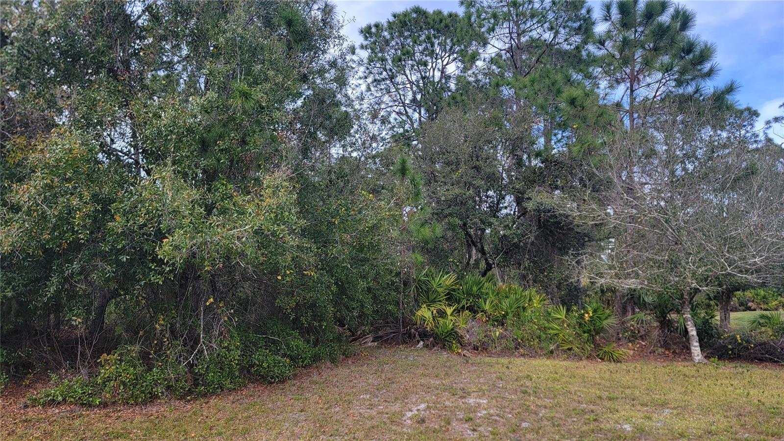 Beautiful Wooded Lot in high demand area of North Port. Only 5 min. to 75 and close to wonderful shopping and dining. Great opportunity to build your dream home in quiet neighborhood.