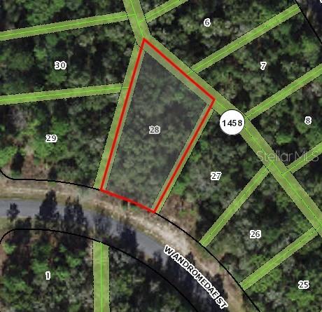 Build your dream home on this spacious 0.30-acre lot located in the desirable community of Citrus Springs. This residential parcel offers a peaceful setting with plenty of room for your custom home, garage, or outdoor living space. Enjoy the quiet surroundings while still being just a short drive to shopping, dining, schools, golf courses, and the beautiful nature trails Citrus County is known for. No HOA and no deed restrictions give you the freedom to design the lifestyle you want. Don’t miss this opportunity to secure affordable land in a growing area of Florida!
