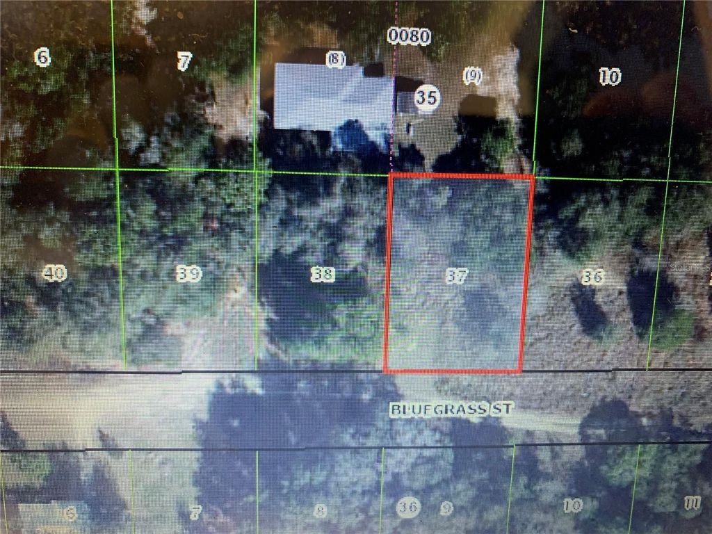 Photo of 2408 Bluegrass Street, Inverness, FL 34453 (MLS # OM721145)