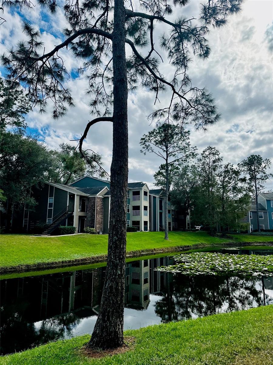 BELMONT/PK CENTRAL CONDO BLDG - Residential Lease