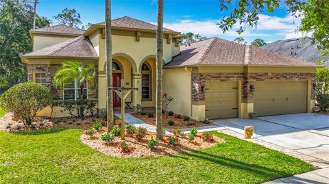 3620 CORDGRASS DRIVE VALRICO FL 33596