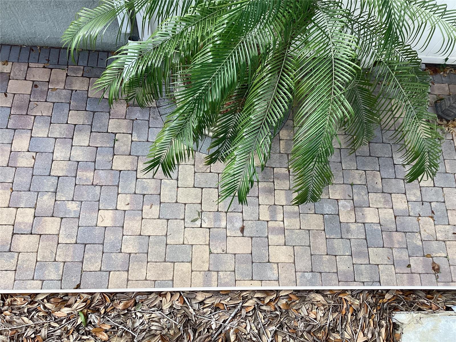 QUAIL RIDGE PH 1 - Residential Lease