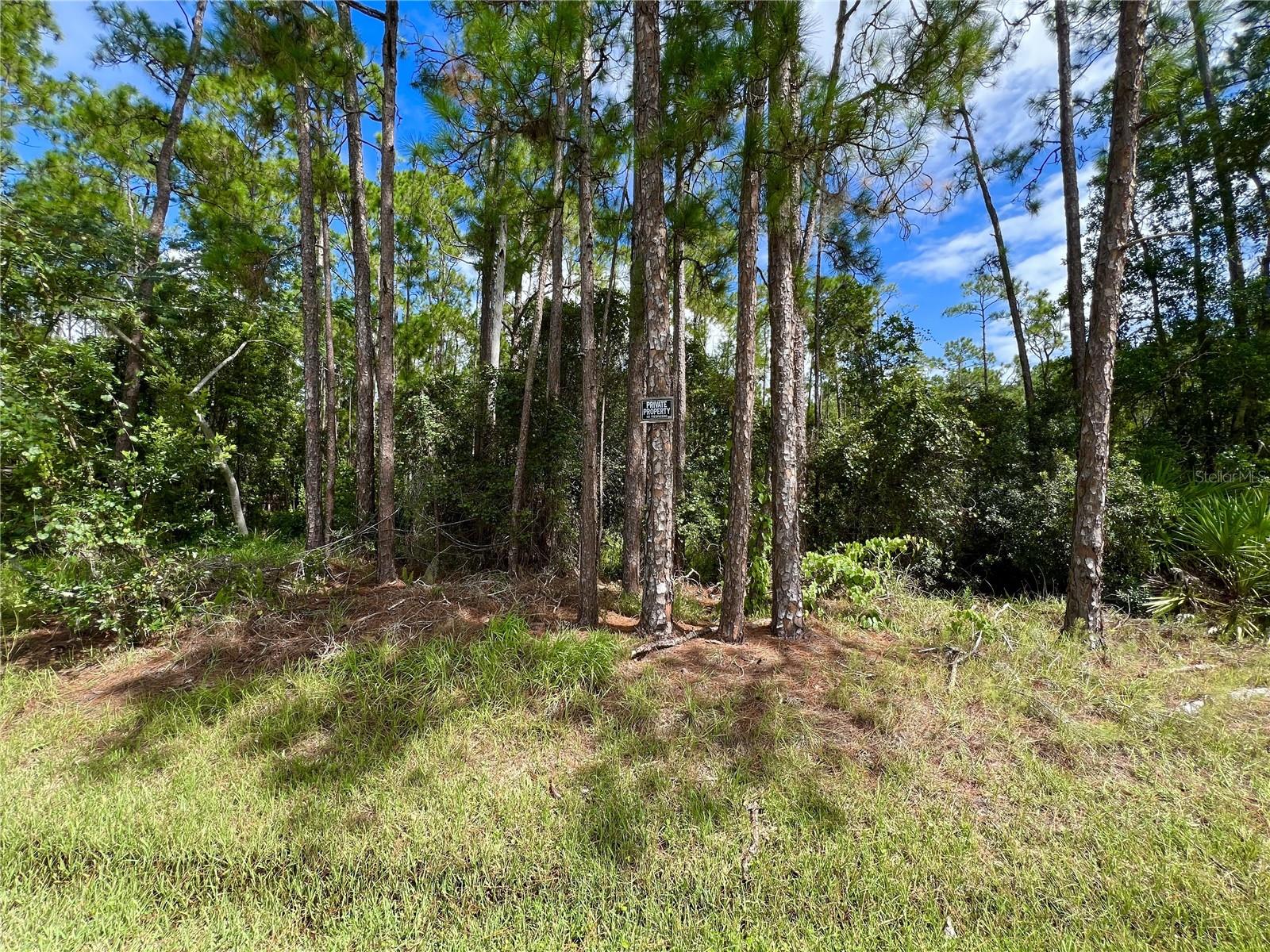 14421 WINTERSET DRIVE