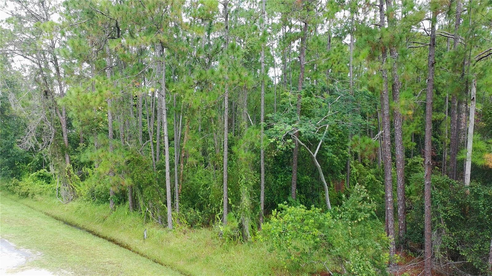ISLE OF PINES FIFTH ADD - Land