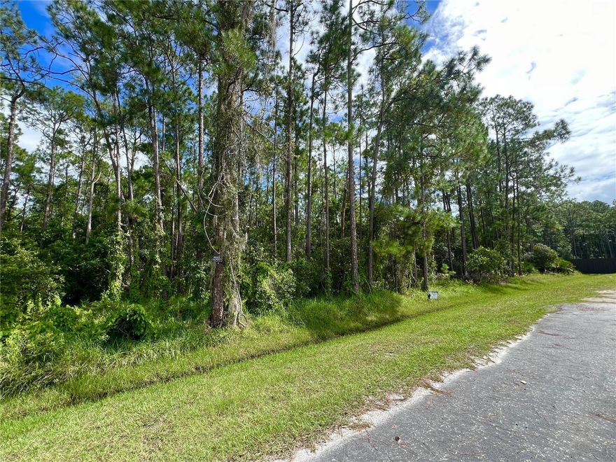 Build your dream home on this spacious .67 acre vacant residential lot located in the desirable Isle of Pines. The property is wooded and located at the end of a street. Isle of Pines is renowned for its scenic beauty, tranquil ambiance, wildlife, and easy access to Lake Mary Jane. No CDD and an optional HOA. The HOA offers a private community park with picnic areas and a playground, and a boat ramp with access to Lake Mary Jane plus a chain of lakes, Lake Hart, Lake Myrtle and many others. Situated in a growing community with convenient access to shopping, dining, schools, medical facilities and major roadways, this parcel offers a prime opportunity for residential development. Don’t miss this opportunity to own land in a sought-after location. Its strategic location provides convenient access to SR-417, SR-528, a short drive from Orlando International Airport (MCO), Lake Nona, and Medical City. Enjoy all Orlando has to offer including theme parks, beaches, nature trails, golf courses and all the scenic lakes. Property is sold as is with no property disclosure or inspection reports.