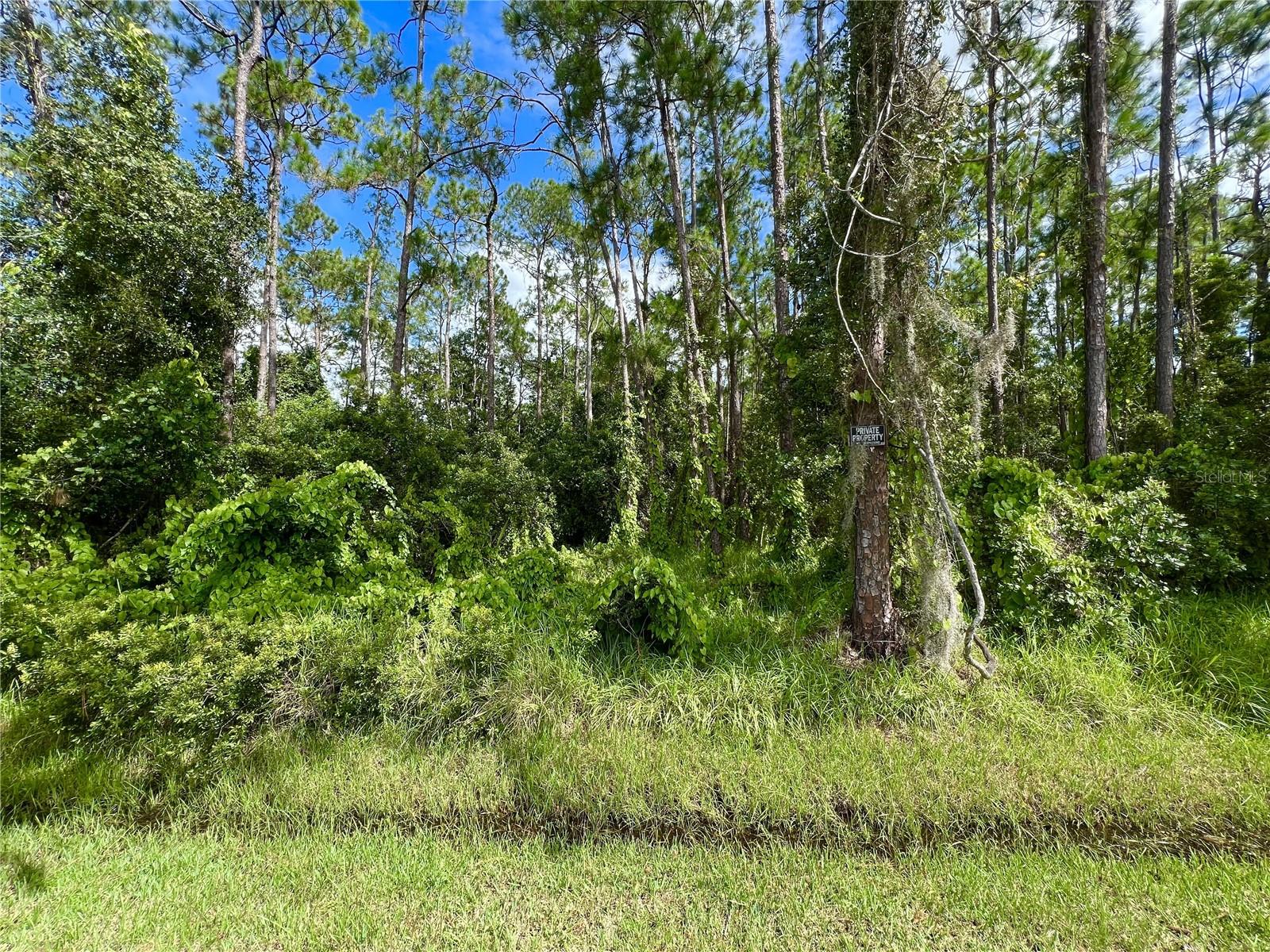 14421 WINTERSET DRIVE