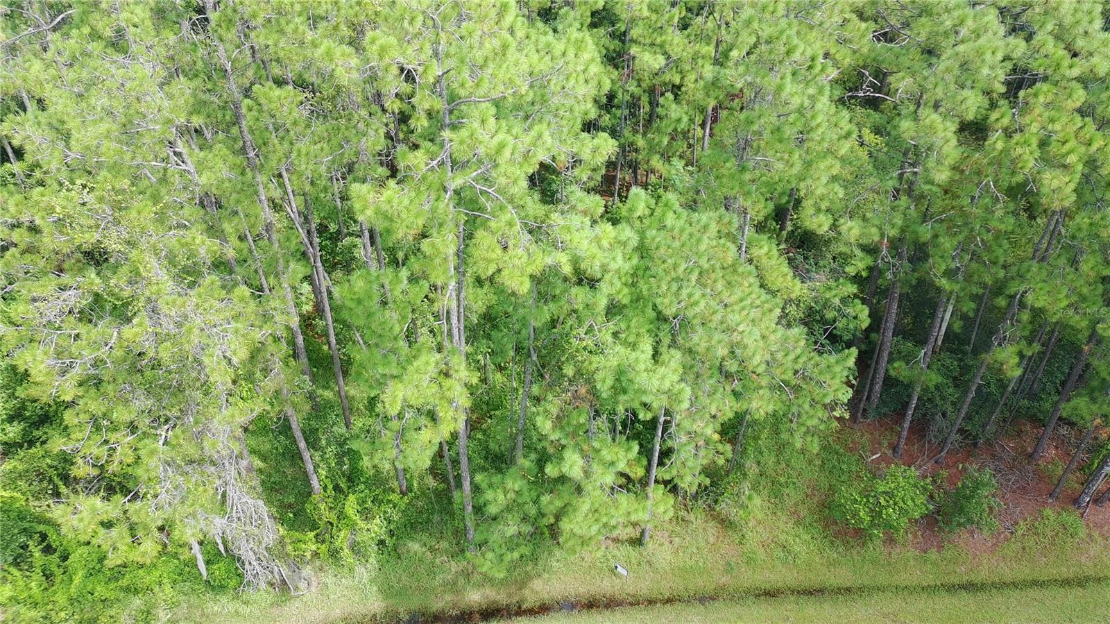 ISLE OF PINES FIFTH ADD - Land