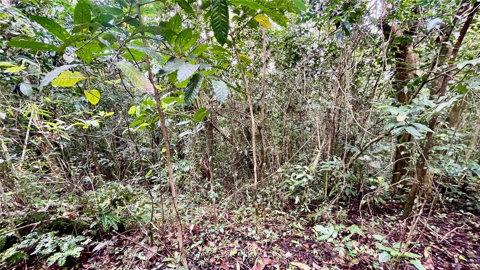 718 BO. PASTO ROAD