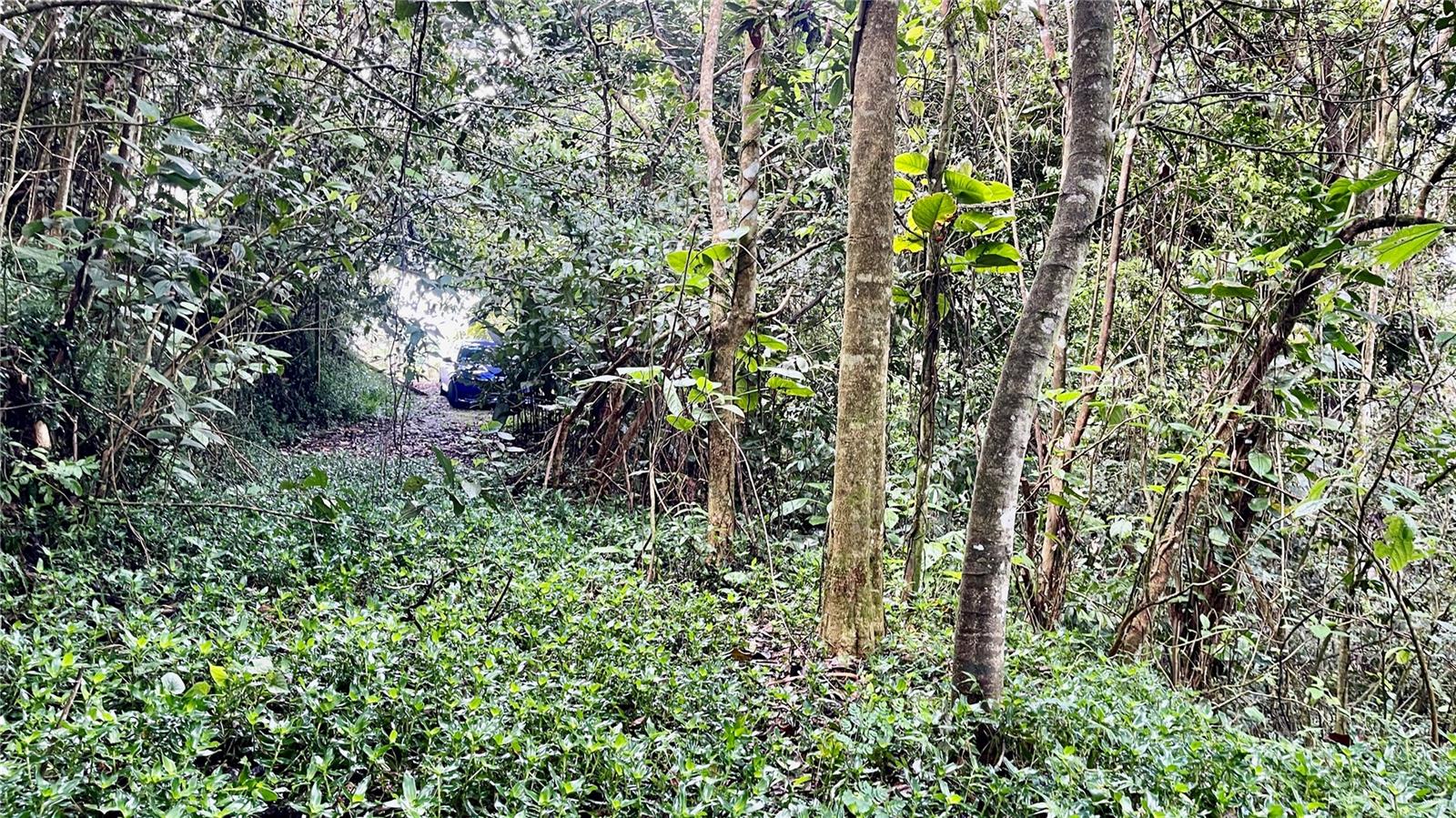 718 BO. PASTO ROAD