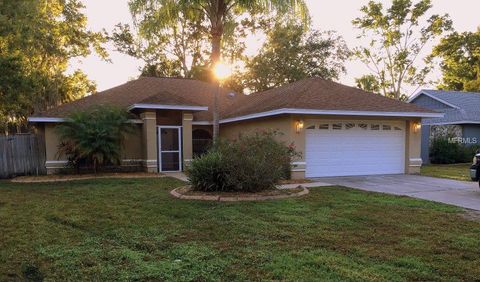 A home in LAND O LAKES