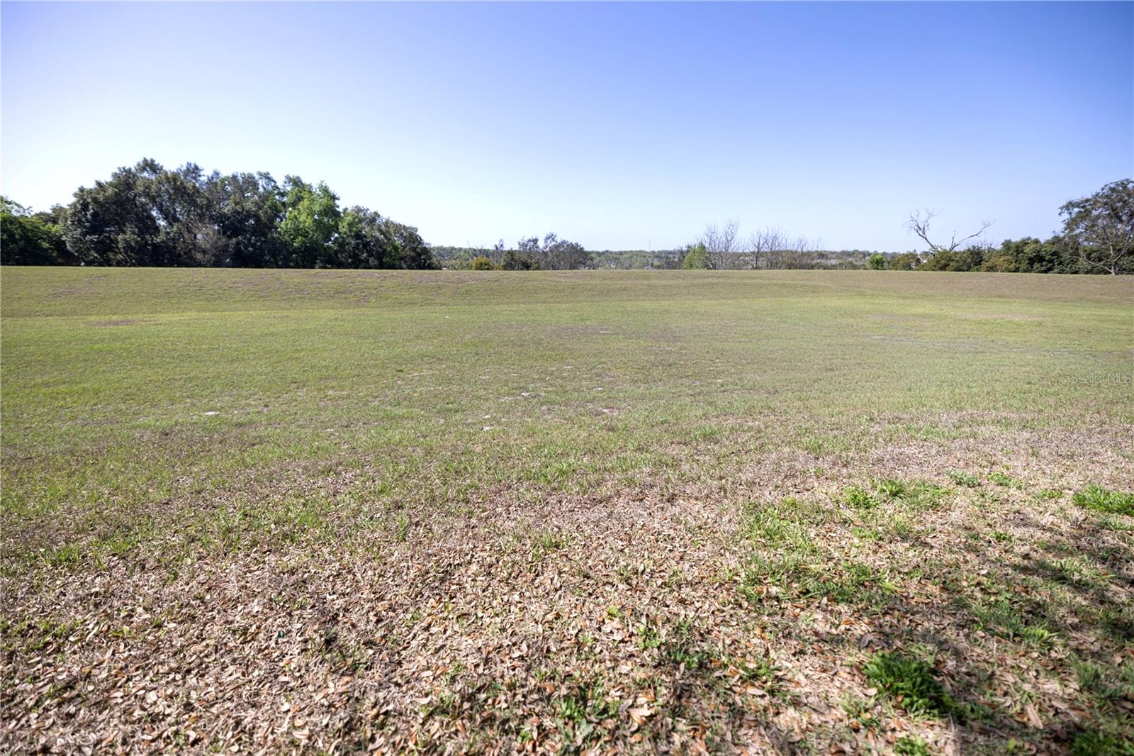 MOUNT DORA WOLF CREEK RIDGE PH 01 - Residential