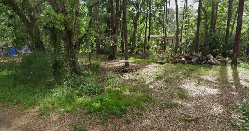HOMOSASSA TOWN - Land
