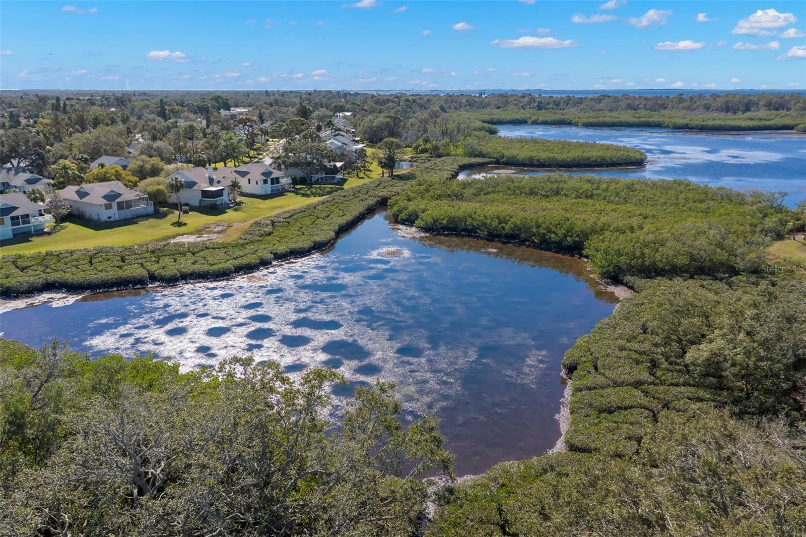 POINTE ALEXIS SOUTH - Residential