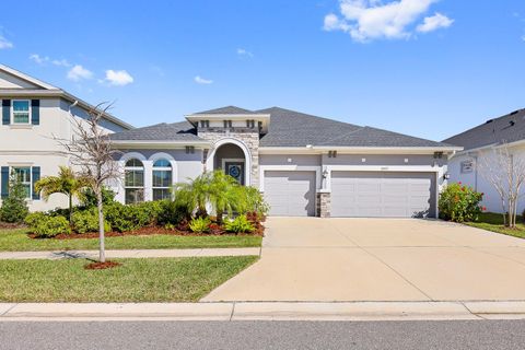 Photo of 5937 Golden Nettle Drive, Apollo Beach, FL 33572 (MLS # TB8473305)
