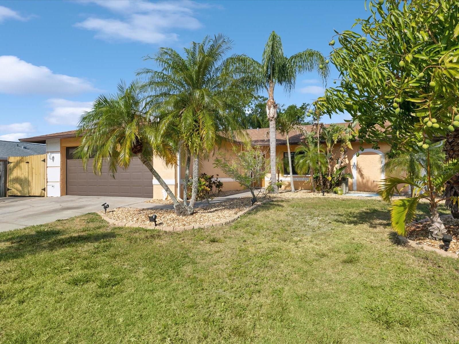 4519 SWALLOWTAIL DRIVE
