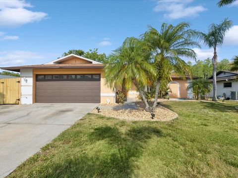 4519 SWALLOWTAIL DRIVE NEW PORT RICHEY FL 34653