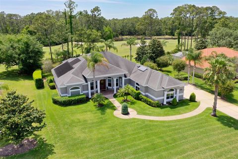 A home in ORMOND BEACH