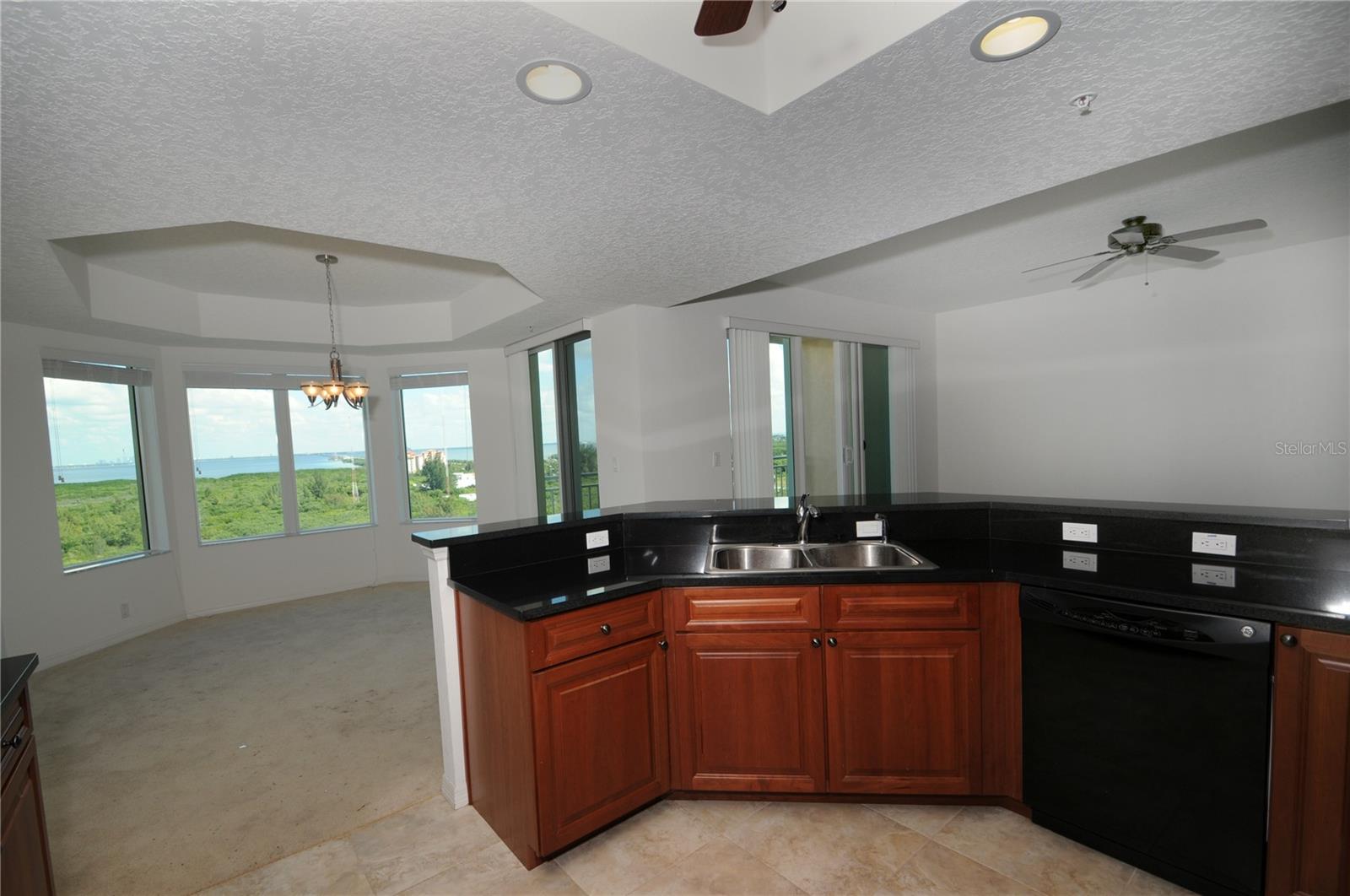 10851 MANGROVE CAY LANE NE 1212