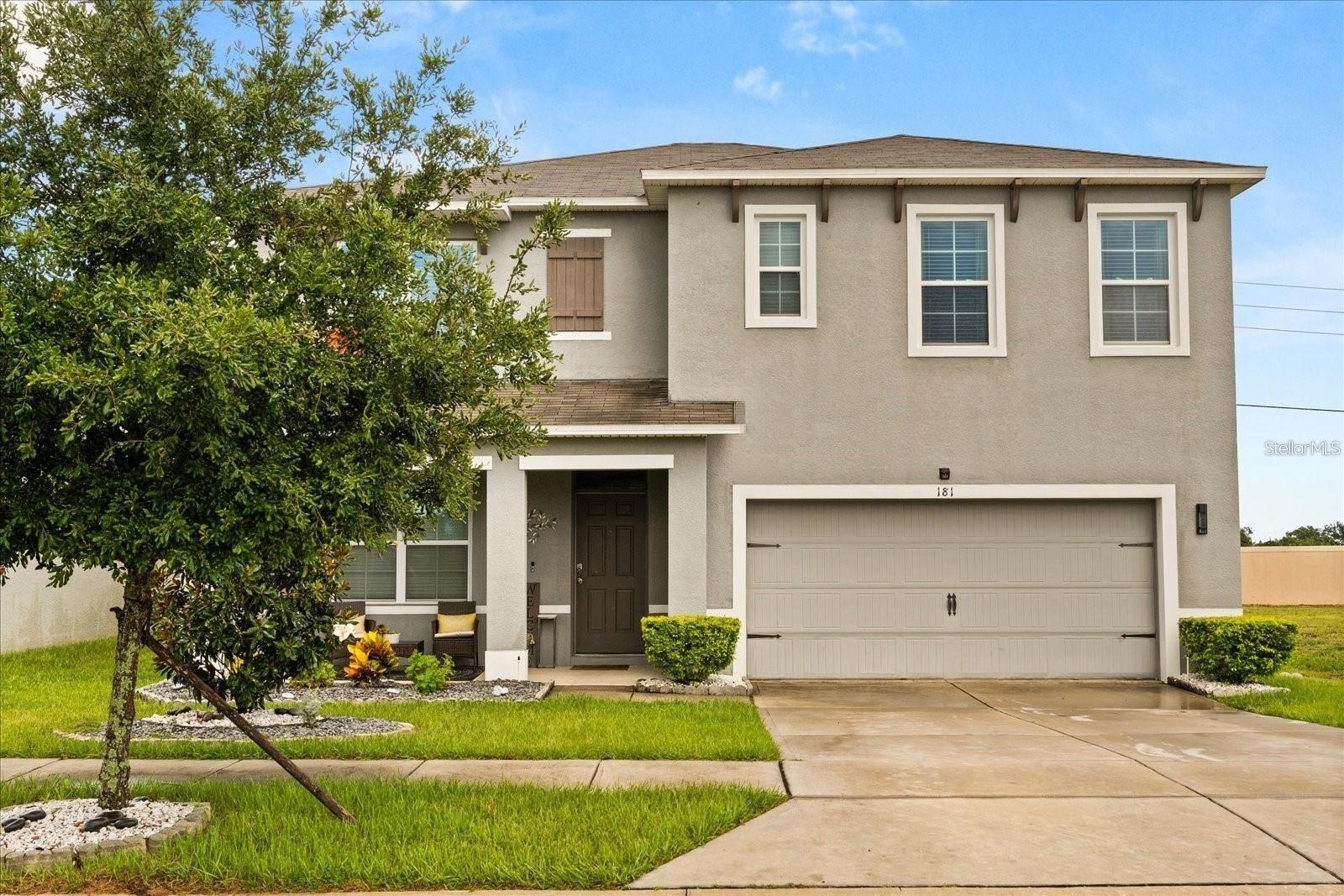 181 LUDISIA LOOP
