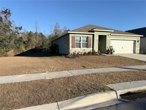 Photo of 1415 Fox Squirrel Drive, Davenport, FL 33897 (MLS # O6379600)