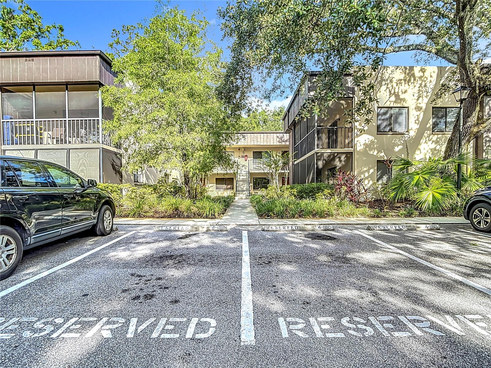 RAINTREE VILLAGE CONDO N - Residential