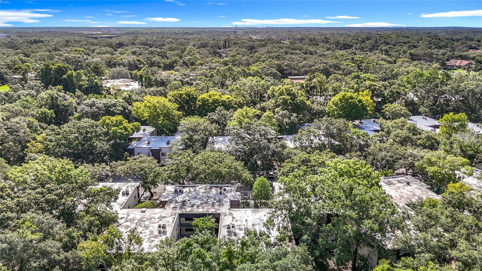 RAINTREE VILLAGE CONDO N - Residential