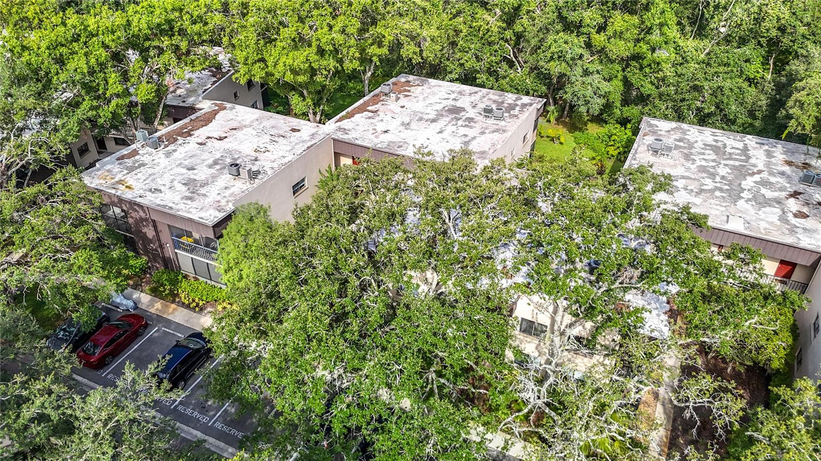 RAINTREE VILLAGE CONDO N - Residential