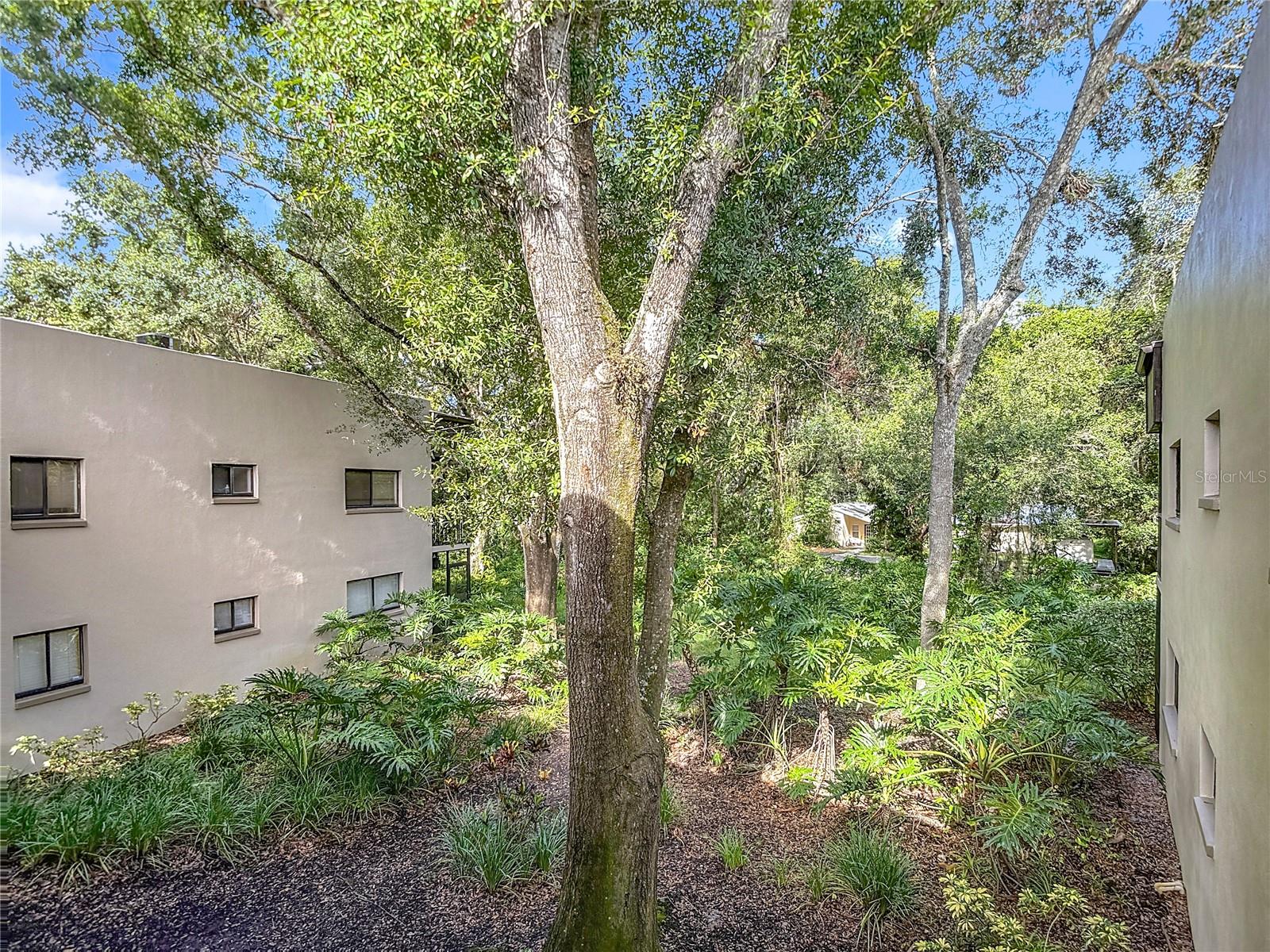 RAINTREE VILLAGE CONDO N - Residential