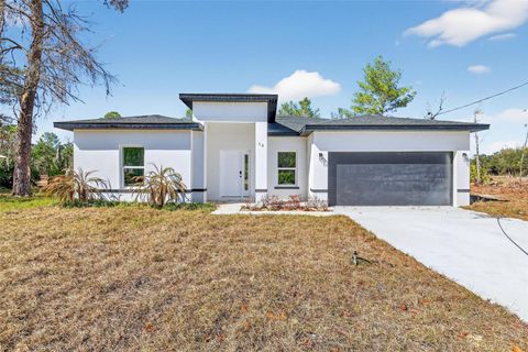 16 MALAUKA LANE DRIVE OCKLAWAHA FL 32179