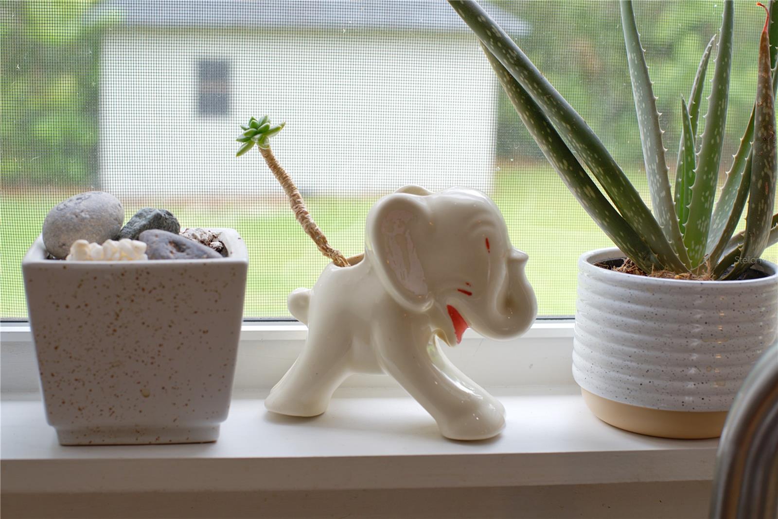 DELAND BLK O - Residential