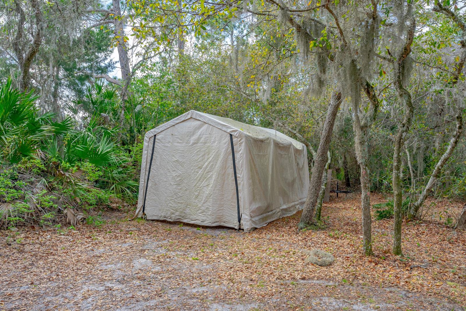 Ormond Terrace - Residential