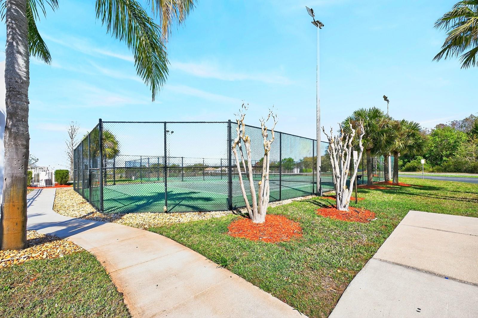 RAINTREE AT SPRINGLAKE VILLAGE PH 2 - Residential