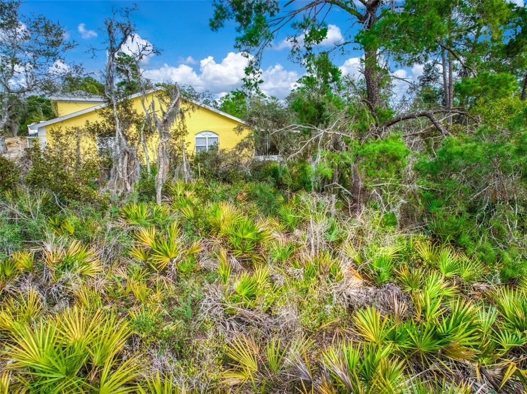 Photo of 3085 W Scoralick Road, Avon Park, FL 33825 (MLS # P4937863)