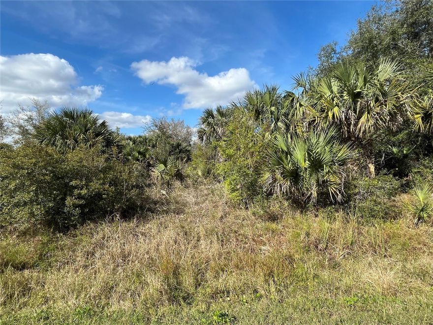 Build or bring your dream home and barn on this beautiful 1.25 acre lot just off of the main paved road but yet still private. There are power poles on this street making access to power easy. So much to enjoy in Okeechobee County. Come to The Kissimmee River Preserve State Park West of this area as well is the Kissimmee River. The Kissimmee River flows into Lake Okeechobee and is well known for some of the best fishing. whether you like Fishing, hunting, mudding agriculture or just privacy here you have it all.