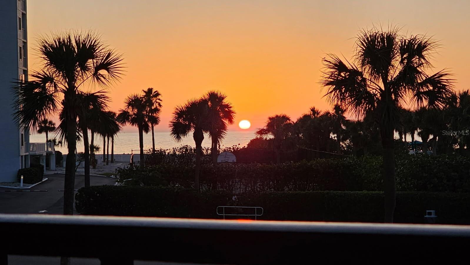 HARBOUR THE CONDO - Residential