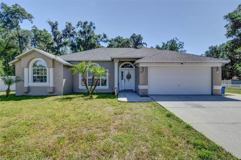 Single Family Residence in LAKE HELEN FL 431 TIFFANY LANE.jpg