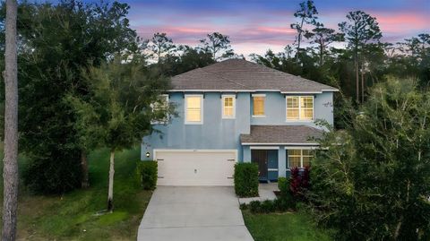 219 MEGHAN CIRCLE DELAND FL 32724