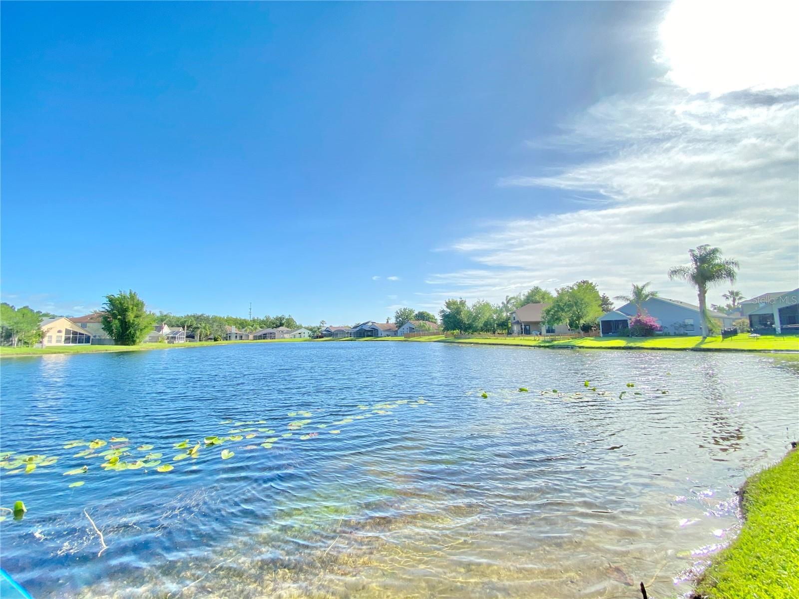 WATERFORD CHASE VILLAGE TR D - Residential Lease