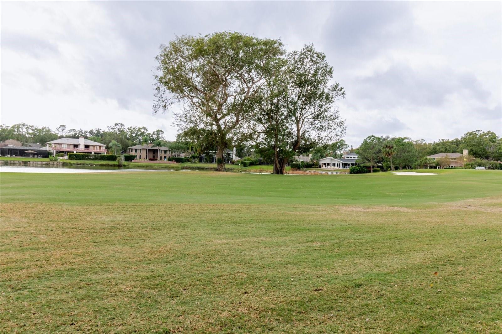 CARROLLWOOD VILLAGE SEC 1 - Residential