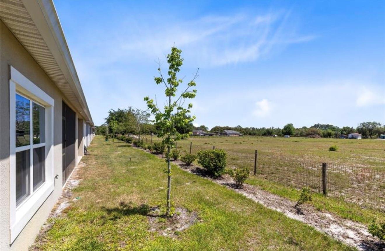 SUNCREST - Commercial Lease