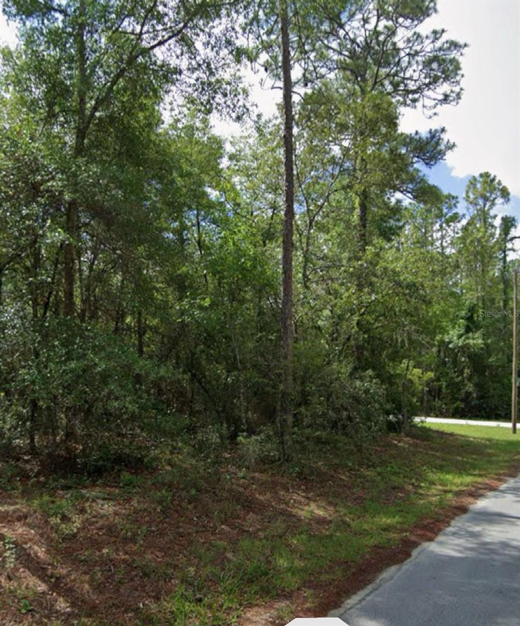 Photo of SW 178th Terrace, Dunnellon, FL 34432 (MLS # OM701738)