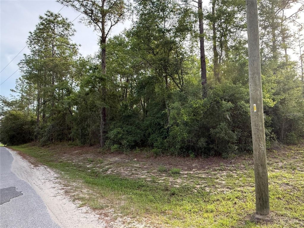 Photo of SW 178th Terrace, Dunnellon, FL 34432 (MLS # OM701738)