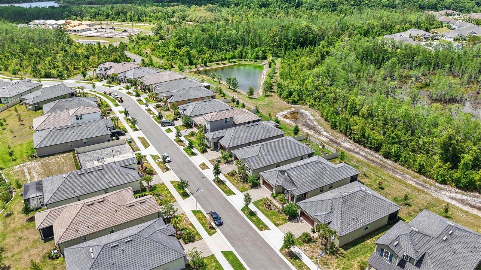 ANGELINE - ACTIVE ADULT - Residential