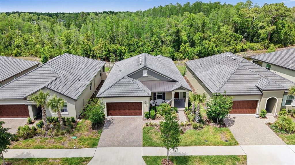 Photo of 10395 Banyan Breeze Boulevard, Land O Lakes, FL 34638 (MLS # TB8504243)